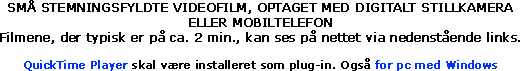 SM STEMNINGSFYLDTE VIDEOFILM, OPTAGET MED