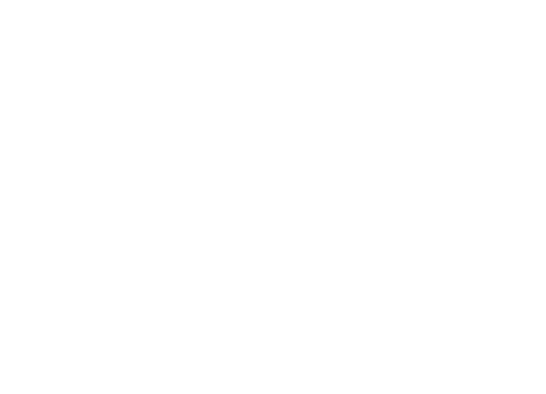 FILMDAGBOG FRA THY - OG