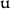 u