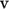 v